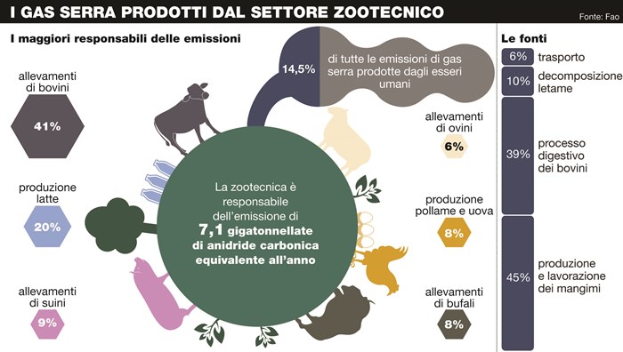 cinque trucchi facili per vivere green