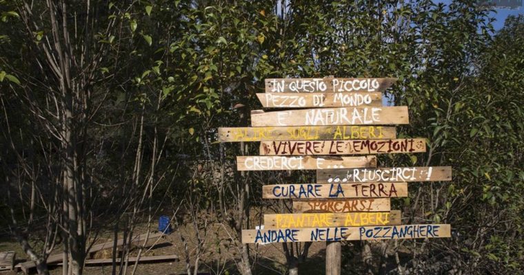 Vieni con me all’Asilo nel Bosco? L’esperienza di Simona nell’Educazione Outdoor